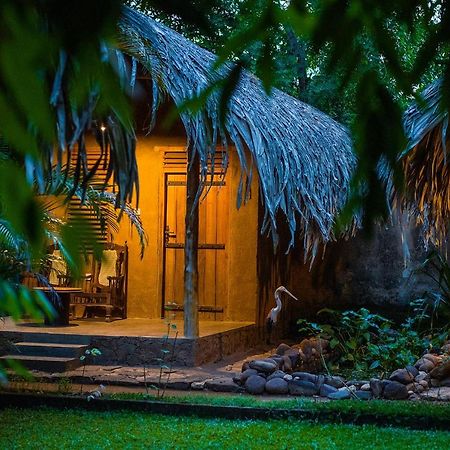 Private Organic House Bed & Breakfast Udawalawe Ngoại thất bức ảnh