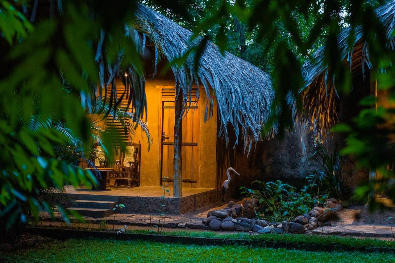 Private Organic House Bed & Breakfast Udawalawe Ngoại thất bức ảnh