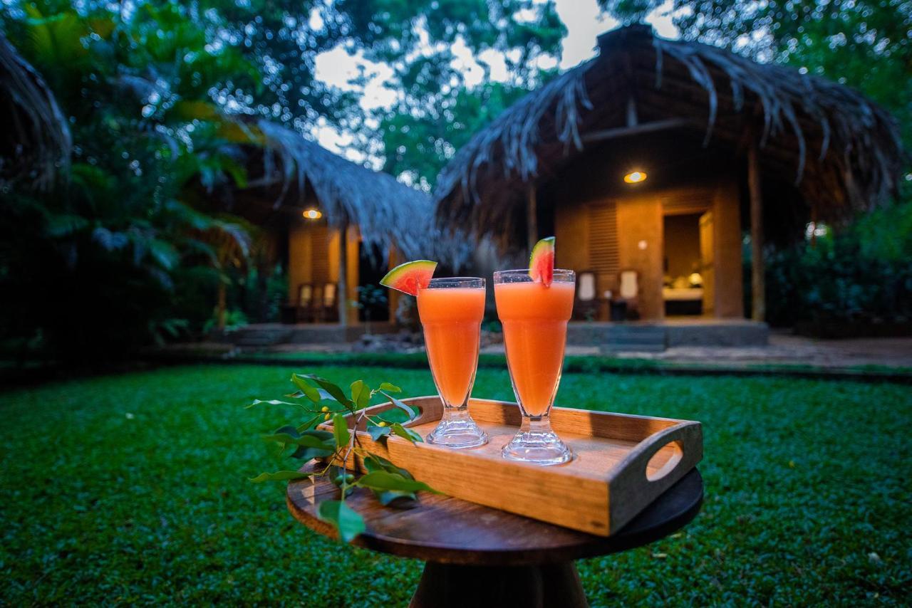Private Organic House Bed & Breakfast Udawalawe Ngoại thất bức ảnh