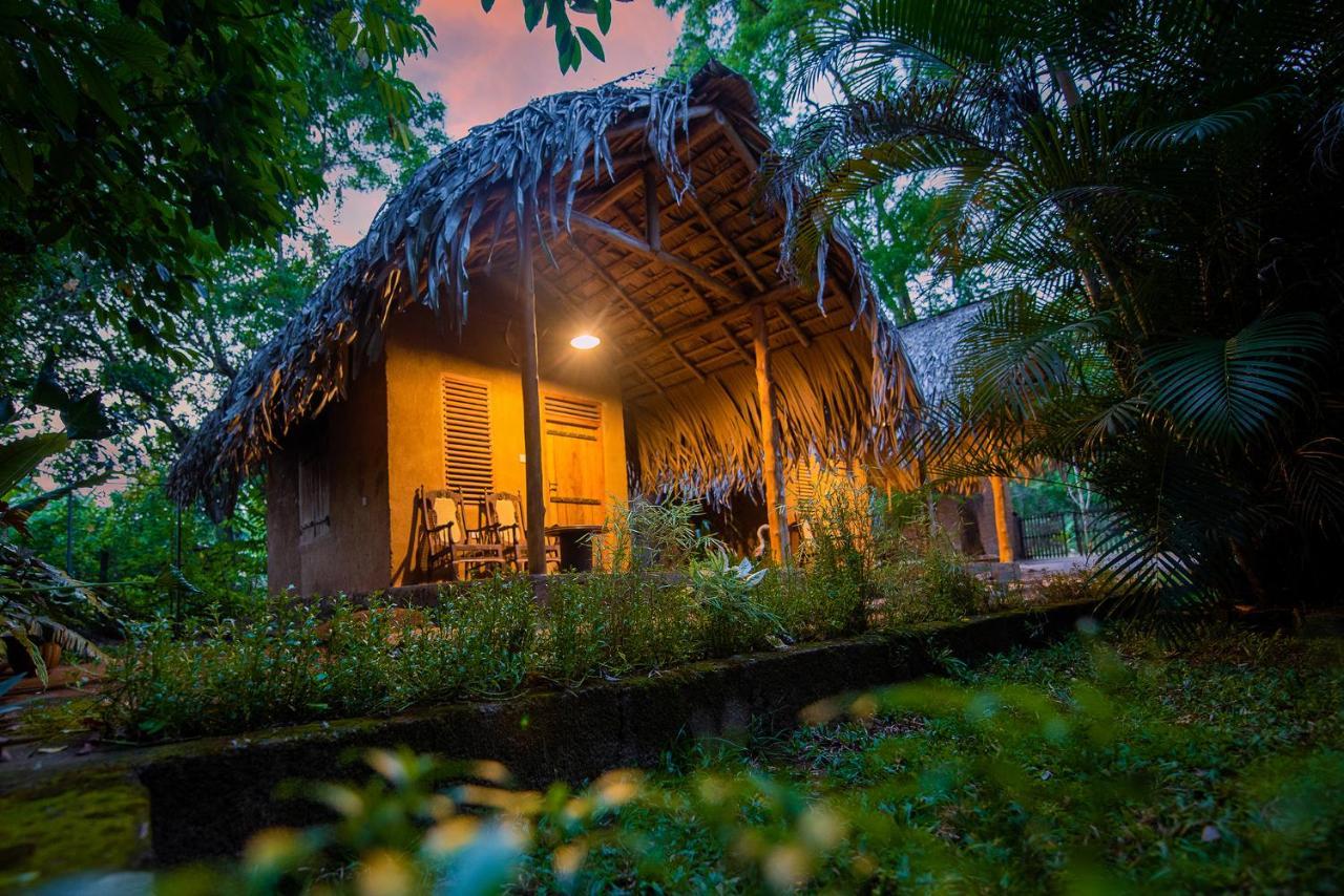 Private Organic House Bed & Breakfast Udawalawe Ngoại thất bức ảnh