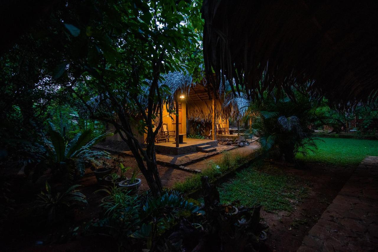 Private Organic House Bed & Breakfast Udawalawe Ngoại thất bức ảnh