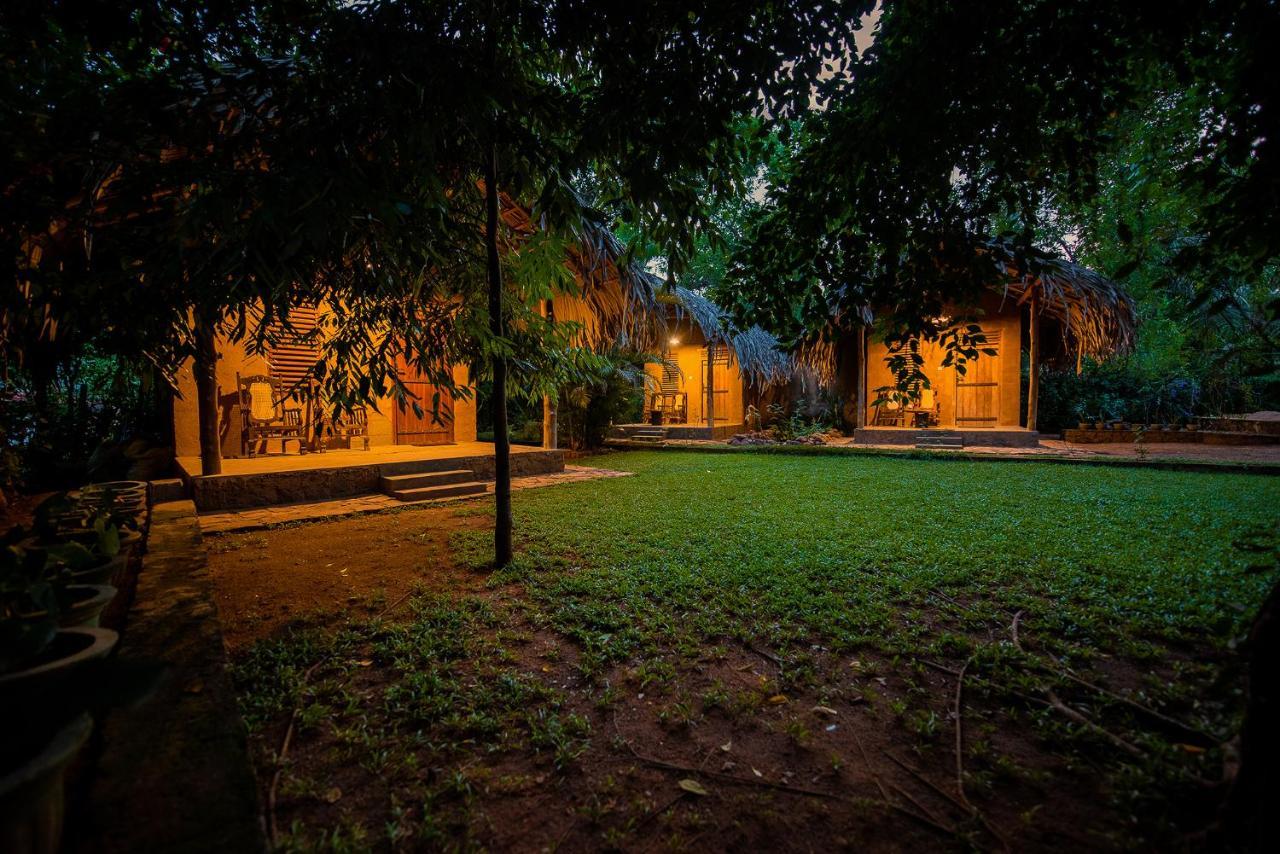 Private Organic House Bed & Breakfast Udawalawe Ngoại thất bức ảnh